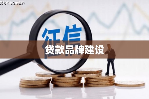 灵台贷款品牌建设