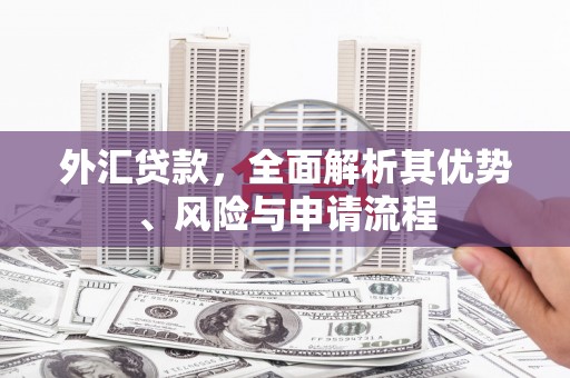 灵台外汇贷款，全面解析其优势、风险与申请流程