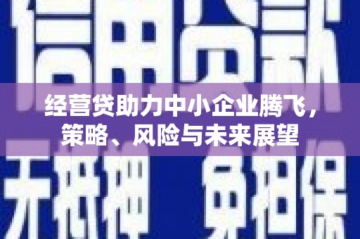 灵台经营贷助力中小企业腾飞，策略、风险与未来展望