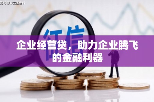 灵台企业经营贷，助力企业腾飞的金融利器