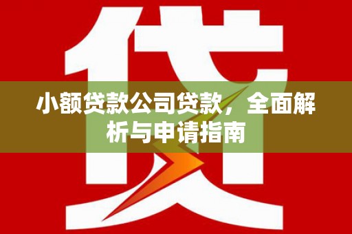 灵台小额贷款公司贷款，全面解析与申请指南