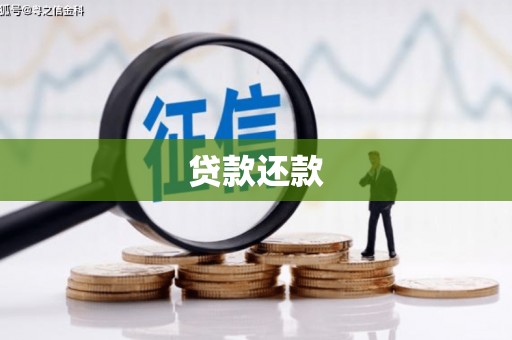 灵台贷款还款