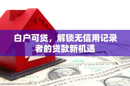 灵台白户可贷，解锁无信用记录者的贷款新机遇