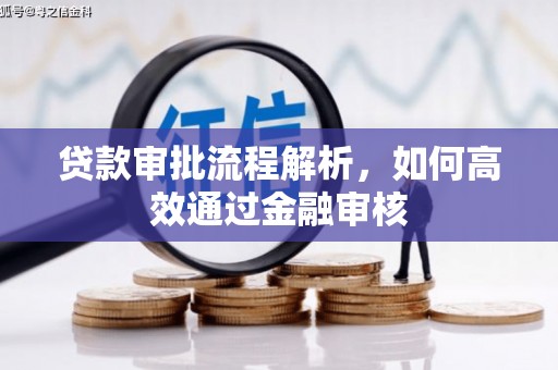 灵台贷款审批流程解析，如何高效通过金融审核