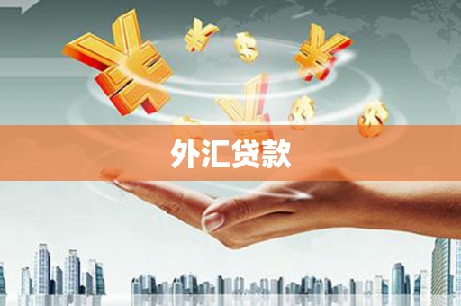 灵台外汇贷款