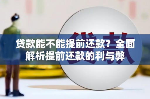 灵台贷款能不能提前还款？全面解析提前还款的利与弊