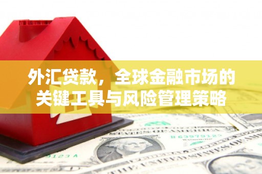 灵台外汇贷款，全球金融市场的关键工具与风险管理策略