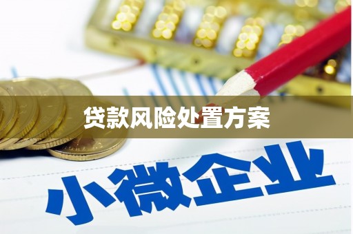 灵台贷款风险处置方案