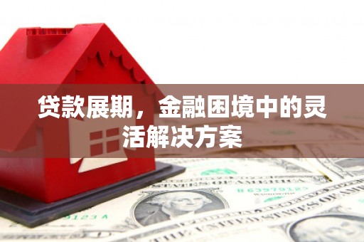 灵台贷款展期，金融困境中的灵活解决方案