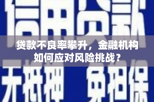 灵台贷款不良率攀升，金融机构如何应对风险挑战？