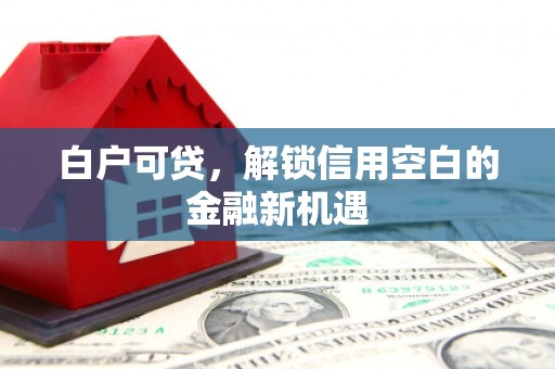 灵台白户可贷，解锁信用空白的金融新机遇