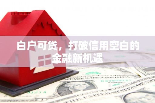 灵台白户可贷，打破信用空白的金融新机遇