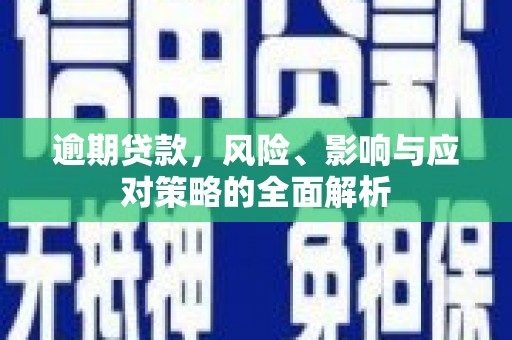 灵台逾期贷款，风险、影响与应对策略的全面解析