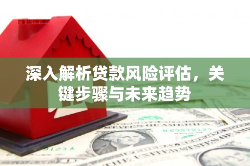 灵台深入解析贷款风险评估，关键步骤与未来趋势