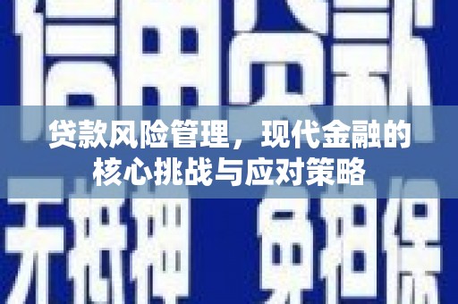 灵台贷款风险管理，现代金融的核心挑战与应对策略