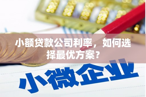 灵台小额贷款公司利率，如何选择最优方案？