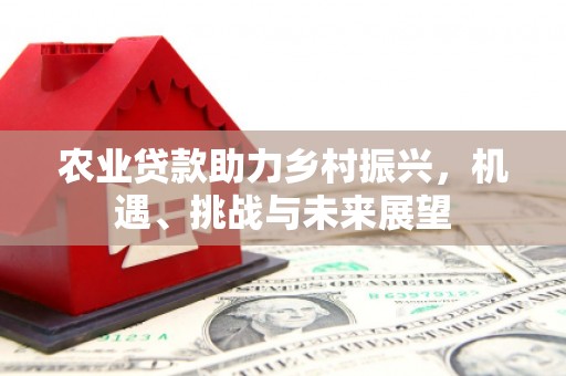灵台农业贷款助力乡村振兴，机遇、挑战与未来展望