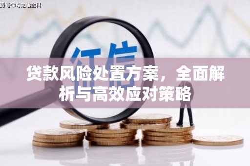 灵台贷款风险处置方案，全面解析与高效应对策略