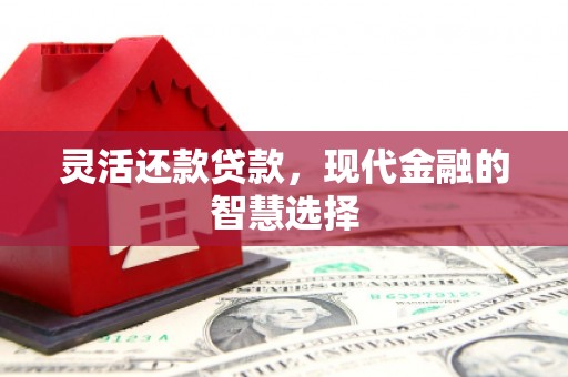 灵台灵活还款贷款，现代金融的智慧选择