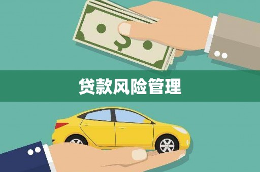 灵台贷款风险管理