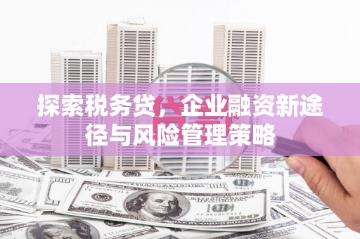 灵台探索税务贷，企业融资新途径与风险管理策略