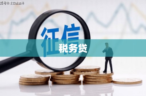 灵台税务贷