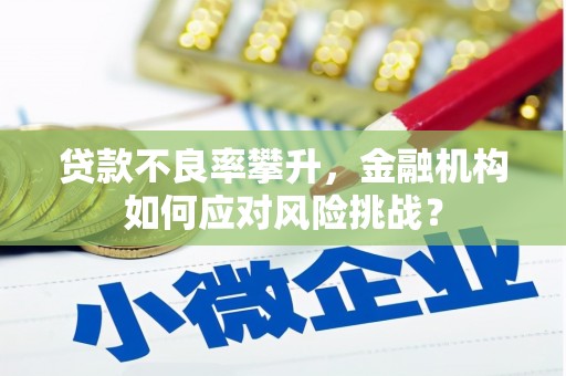 灵台贷款不良率攀升，金融机构如何应对风险挑战？