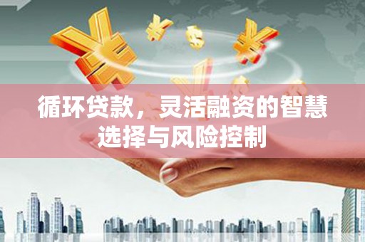 灵台循环贷款，灵活融资的智慧选择与风险控制