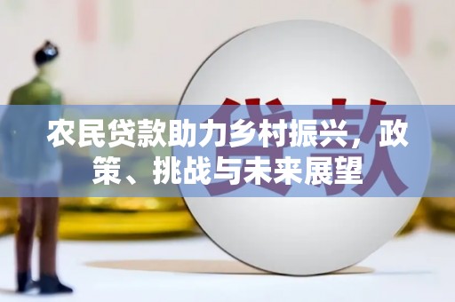 灵台农民贷款助力乡村振兴，政策、挑战与未来展望