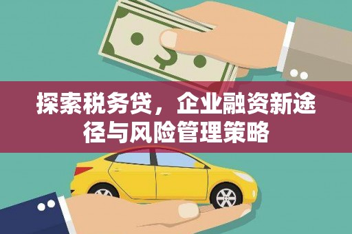 灵台探索税务贷，企业融资新途径与风险管理策略