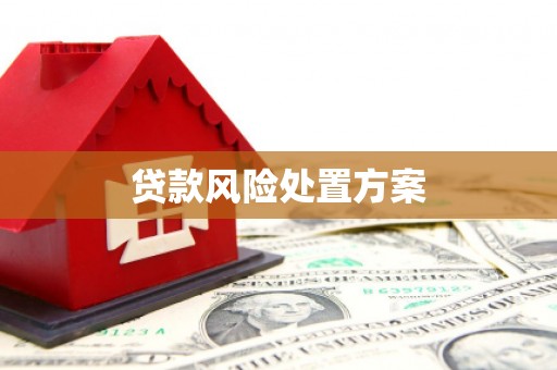 灵台贷款风险处置方案
