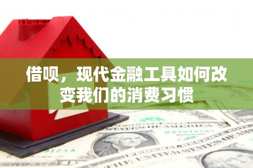 灵台借呗，现代金融工具如何改变我们的消费习惯