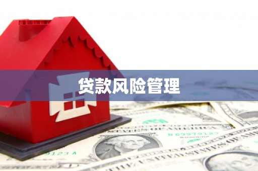 灵台贷款风险管理