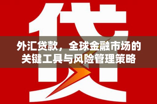 灵台外汇贷款，全球金融市场的关键工具与风险管理策略