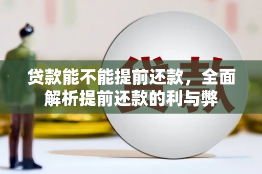 灵台贷款能不能提前还款，全面解析提前还款的利与弊