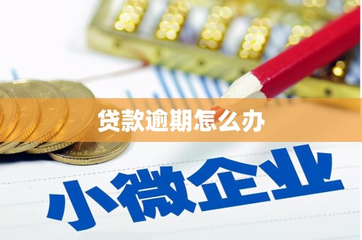 灵台贷款逾期怎么办