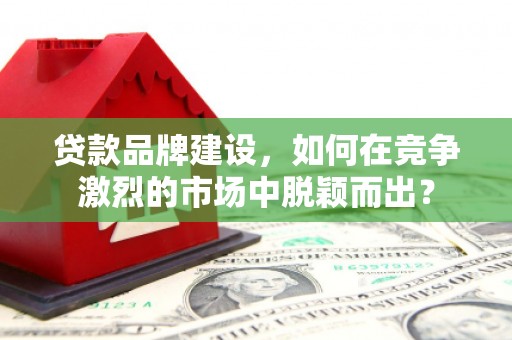 灵台贷款品牌建设，如何在竞争激烈的市场中脱颖而出？