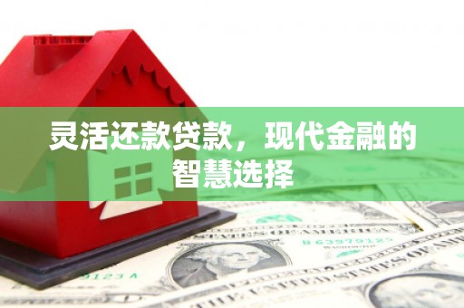 灵台灵活还款贷款，现代金融的智慧选择