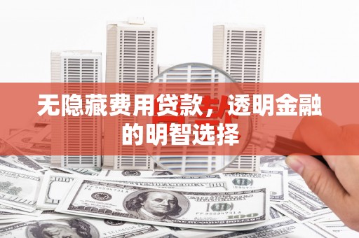 灵台无隐藏费用贷款，透明金融的明智选择