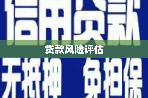 灵台贷款风险评估