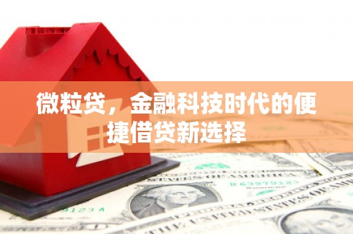 灵台微粒贷，金融科技时代的便捷借贷新选择