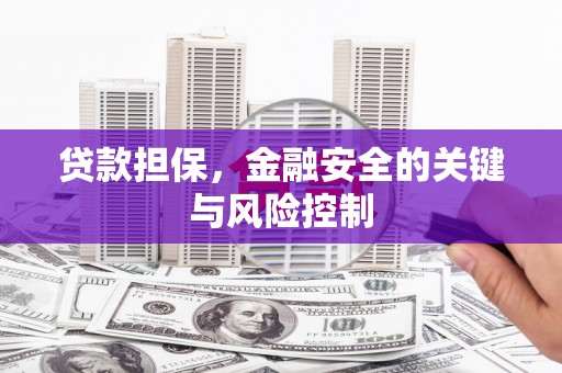 灵台贷款担保，金融安全的关键与风险控制