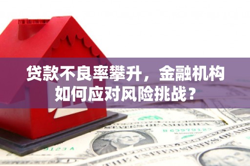 灵台贷款不良率攀升，金融机构如何应对风险挑战？