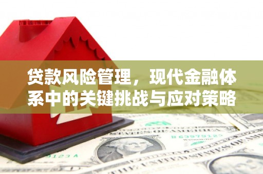 灵台贷款风险管理，现代金融体系中的关键挑战与应对策略