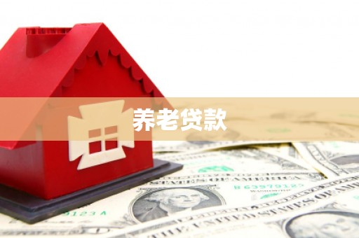 灵台养老贷款