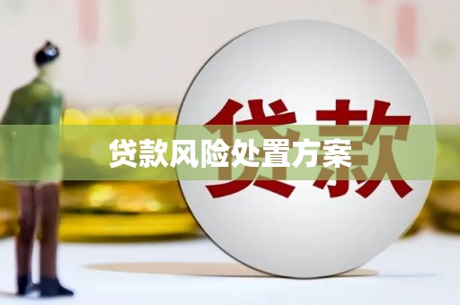 灵台贷款风险处置方案