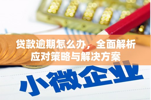 灵台贷款逾期怎么办，全面解析应对策略与解决方案