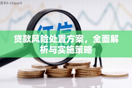 灵台贷款风险处置方案，全面解析与实施策略